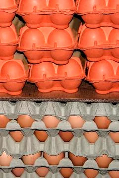 Eggs stored 7 Stock Photos