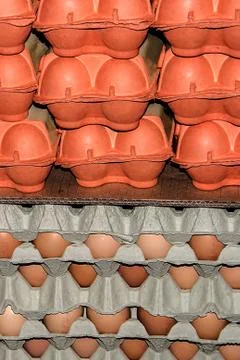 Eggs stored 7 Stock Photos