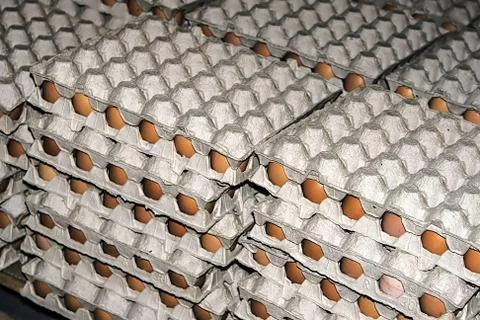 Eggs stored 8 Stock Photos