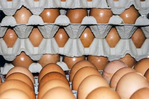 Eggs stored 9 Stock Photos