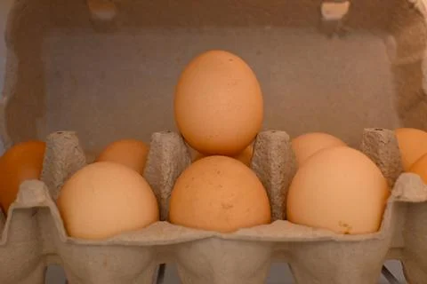 Eggs stored in refrigerator close-up kitchen food storage Stock Photos