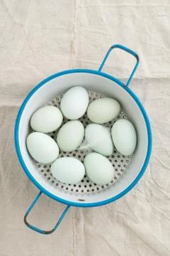 Eggs in a strainer Stock Photos