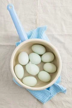 Eggs in a strainer Stock Photos