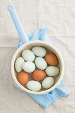 Eggs in a strainer Stock Photos