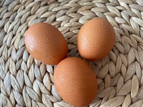 Eggs on a straw ground 스톡 사진