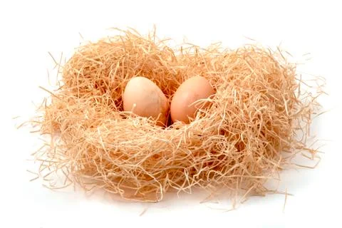 Eggs in a straw nest Stock Photos
