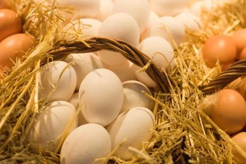 Eggs in straw Stock Photos