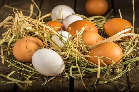 Eggs in straw Stock Photos