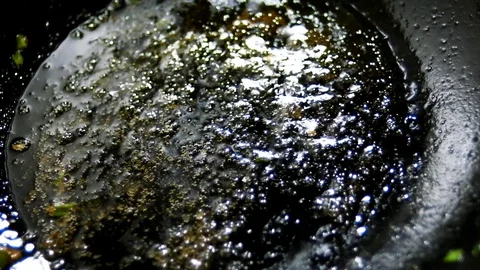 Eggs sunny side down Stock Footage 70544856