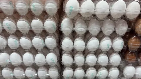 Eggs in the supermarket Video stock 292799858