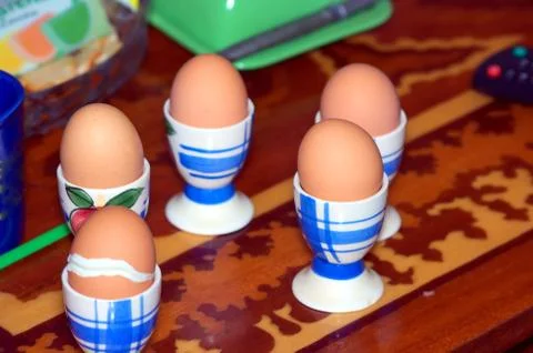 Eggs in supports Stock Photos