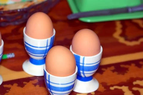 Eggs in supports 스톡 사진