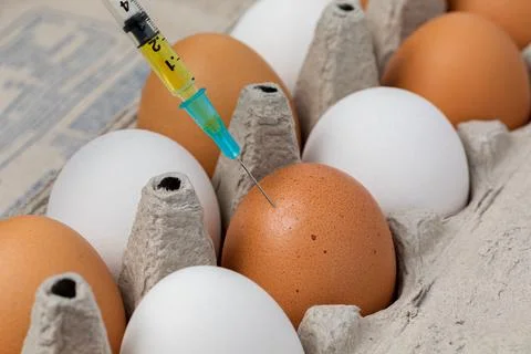 Eggs Syringe Fotos de archivo