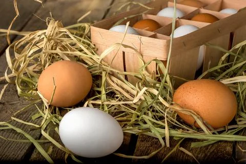 Eggs on table Stock Photos