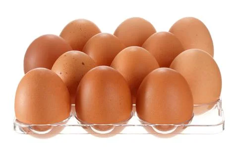 Eggs in transparent container from refrigerator isolated on white background Stock Photos
