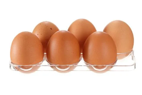 Eggs in transparent container from refrigerator isolated on white background Stock Photos