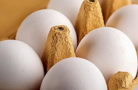 Eggs in a tray closeup Stock Photos