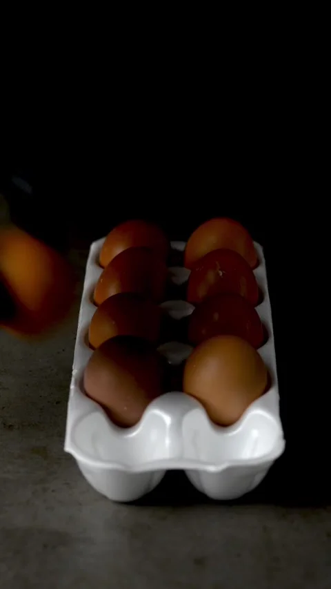 Eggs in a tray on a dark background Stock Footage 247199059