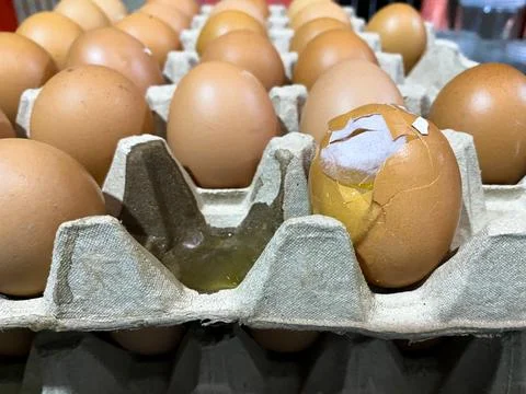 Eggs on the tray one of the egg is broken. Stock Photos