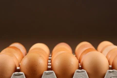 Eggs in tray Stock Photos