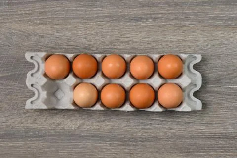 Eggs in tray Stock Photos