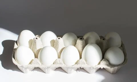 Eggs in a tray Stock Photos