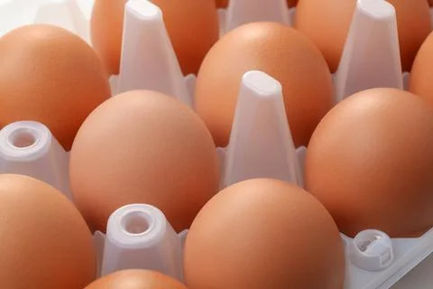 Eggs tray Stock Photos