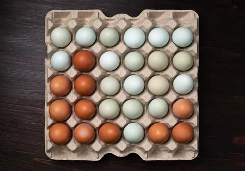 Eggs in tray Stock Photos