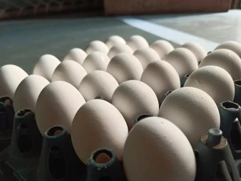 Eggs in a tray with square shape Stock Photos