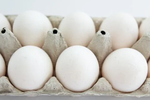 Eggs in a tray on a white background Stock-Fotos