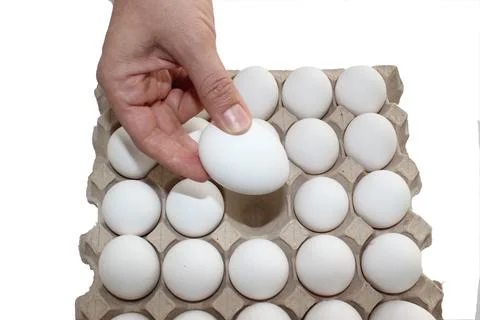 Eggs in tray in white background Stock-Fotos
