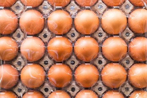 Eggs in trays lined Stock Photos