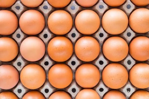 Eggs in trays lined Stock Photos