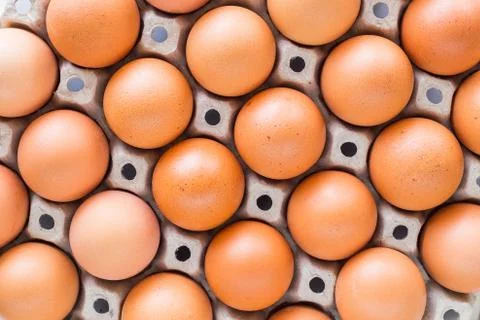 Eggs in trays lined Stock Photos