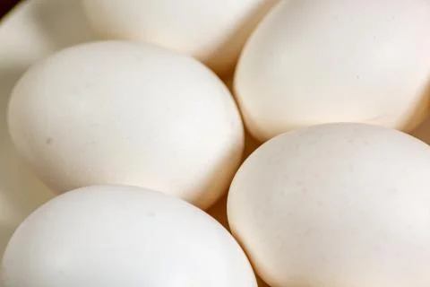Eggs on a while plate sitting on the kitchen table waiting to be cracked Stock Photos