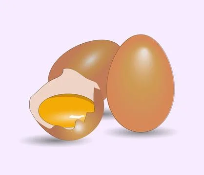 Eggs on white background, half a raw egg, isolated, realistic vector illust.. Stock Illustration