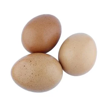 Eggs on a white background Stock Photos