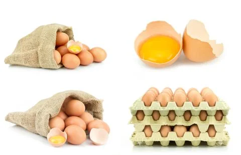 Eggs on white background Stock Photos