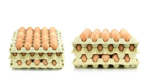 Eggs on white background Stock Photos