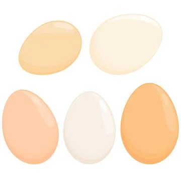 Eggs on white background. Vector illustration Stock Illustration