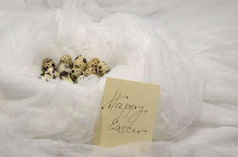 Eggs in a white nest Stock Photos