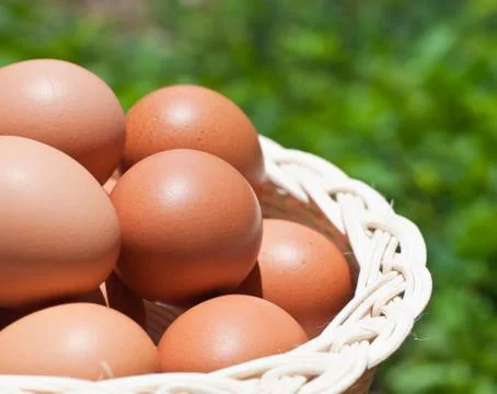 Eggs in a wicker basket. Stock Photos