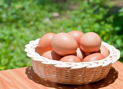 Eggs in a wicker basket. Stock Photos