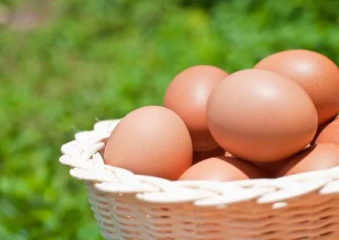Eggs in a wicker basket. Stock Photos