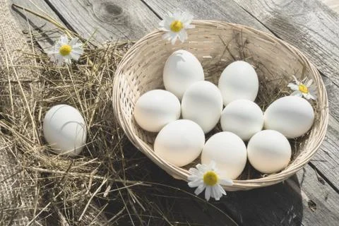 Eggs in a wicker basket Stock-Fotos