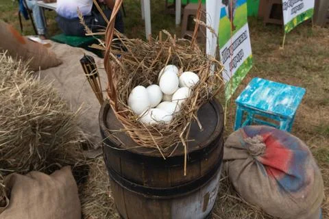 Eggs in a wicker basket with straw Stock Photos