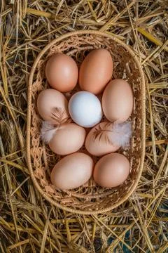 Eggs in wicker basket on table close-up Stock Photos