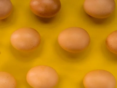 Eggs on a yellow background Stock Photos