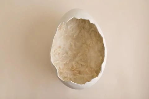 Eggshell background for newborn montage Stock Illustration