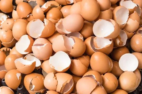 Eggshell of brown eggs Stock Photos